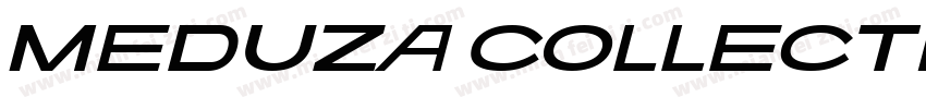 Meduza Collection F Extra Bold 斜体文本字体转换